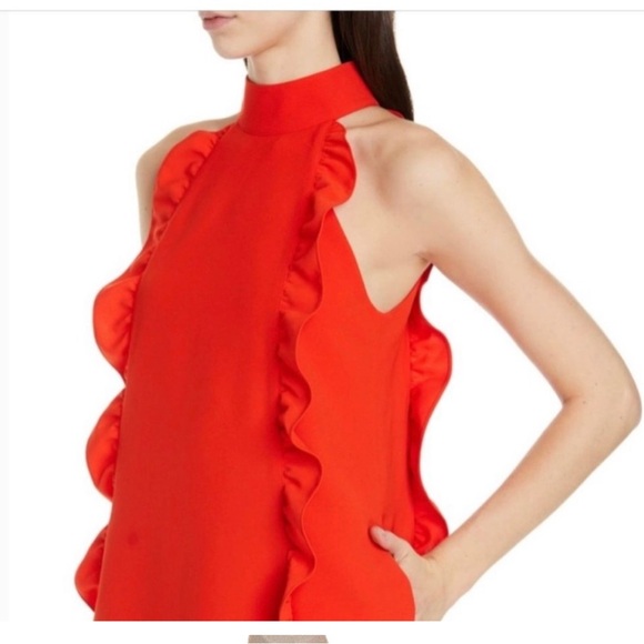 Ted Baker Ruffle Dress - Picture 3 of 7